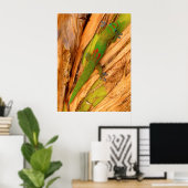 Gold Dust Gecko Poster (Heimbüro)