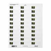 Gold Emboss D (Vorne)