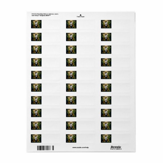 Gold Emboss H (Vorne)