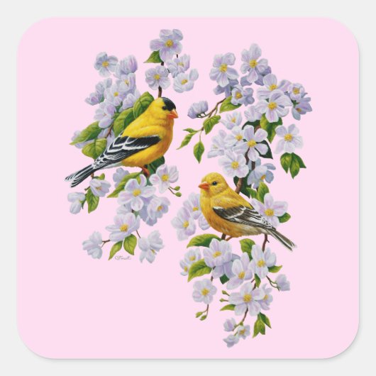 Gold Finch Birds & Apple Tree Pink Quadratischer Aufkleber (Vorderseite)