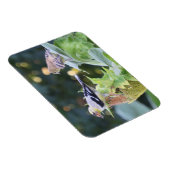 Gold Finish Couple Eating Sunflower Seeds Magnet (Rechte Seite)