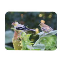 Gold Finish Couple Eating Sunflower Seeds