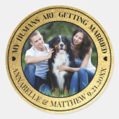 Gold Foto Pet Wedding Save the Date Runder Aufkleber (Vorderseite)