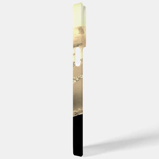 Gold-Gattung, Name & Monogramm, Schwarz & Gold-Box Case-Mate iPhone Hülle (Rückseite / Rechts)