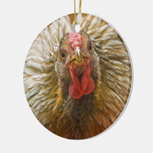 Gold-Geschnürtes Wyandotte Huhn Keramik Ornament (Links)
