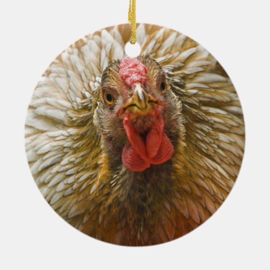 Gold-Geschnürtes Wyandotte Huhn Keramik Ornament (Hinten)