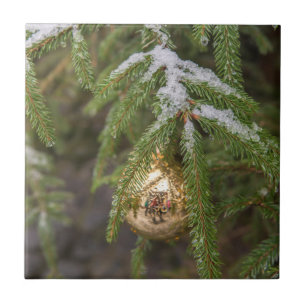 Gold Glass Christmas Ornament On Evergreen Tree Fliese
