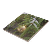 Gold Glass Christmas Ornament On Evergreen Tree Fliese (Seite)