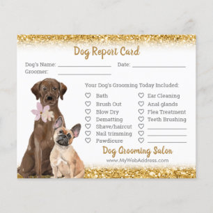 Gold Glitzer Dog Grooming Report Card Flyer
