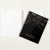 Gold Glitzer Sparkling Elegantes Glamour Script Planer (Anzeige)
