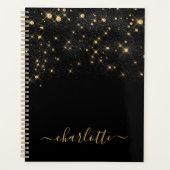 Gold Glitzer Sparkling Elegantes Glamour Script Planer (Vorderseite)