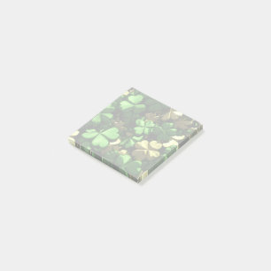 Gold Green Kleeblatts Post-it Klebezettel