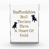Gold Heart Staffordshire Bull Terrier, Foto Block (Vorderseite)