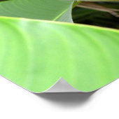 Gold Heliconia Poster (Ecke)