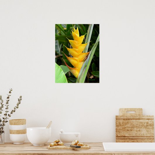 Gold Heliconia Poster (Küche)
