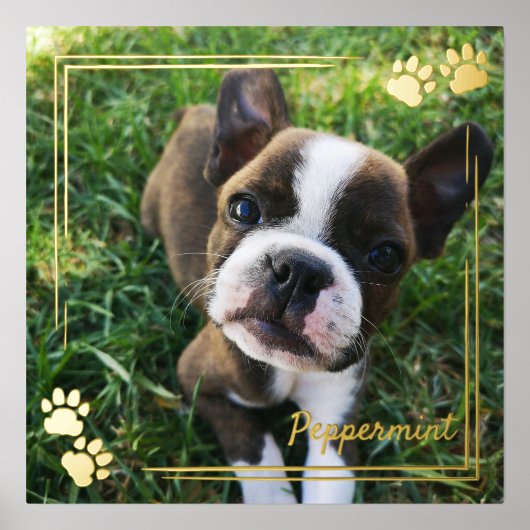 Gold Hund Paw Print Frame Hund Foto & Name Foliendrucke (Vorderseite)