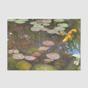 Gold Koi in Lily-Teich Seidenpapier