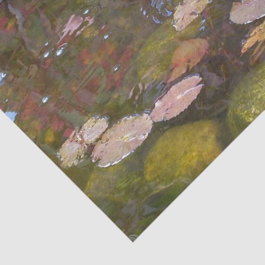 Gold Koi in Lily-Teich Seidenpapier (Ausschnitt)