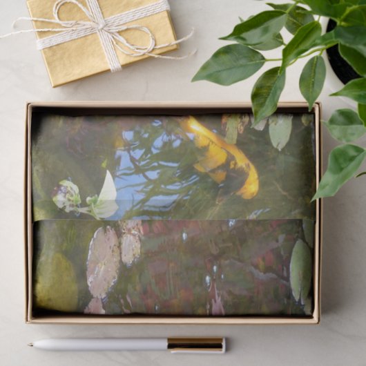 Gold Koi in Lily-Teich Seidenpapier (Geschenk)