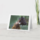 Gold Laced Wyandotte Hen Karte (Rückseite)