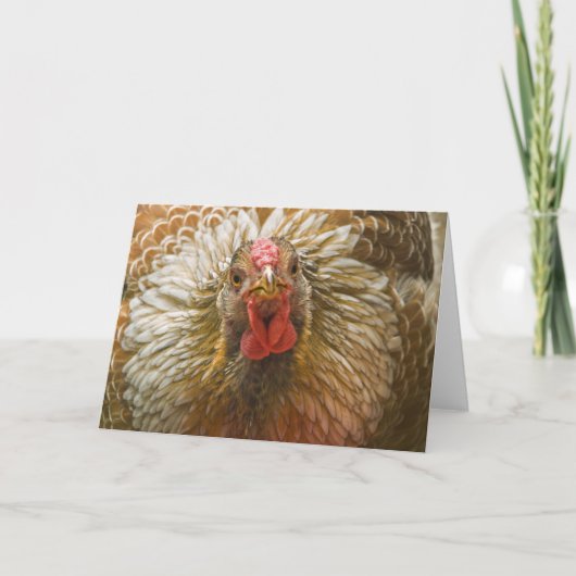 Gold Laced Wyandotte Hen Karte (Vorderseite)