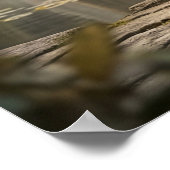 Gold Leaf Elefanten Hain Poster (Ecke)