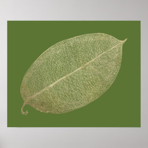 Gold Leaf Grid Illustration Poster