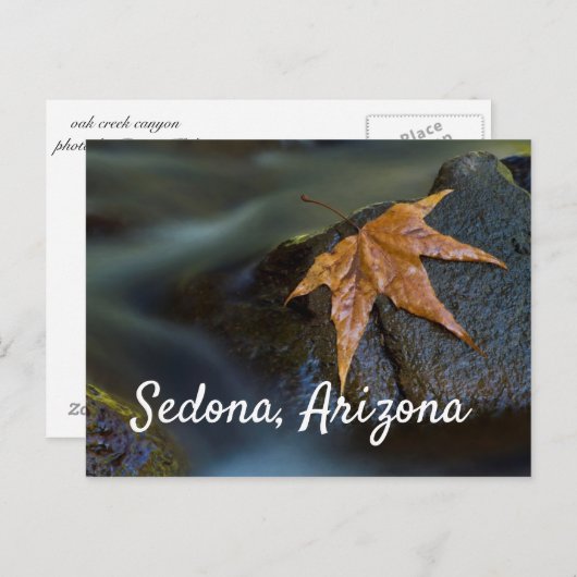 Gold-Leaf in Sedona, Arizona Postkarte (Vorne/Hinten)