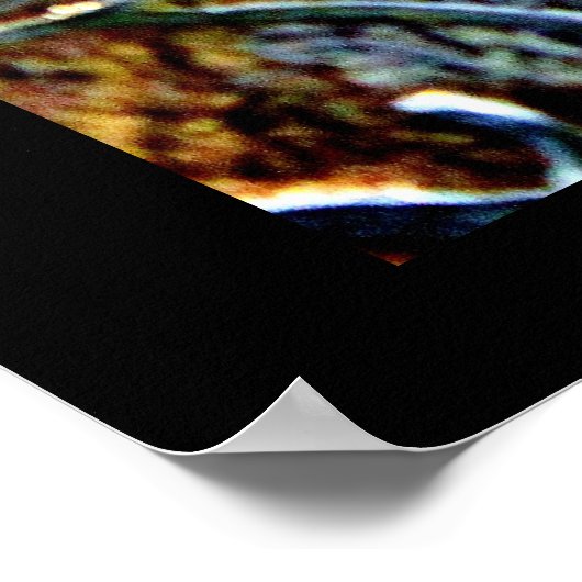 Gold Leaf Poster (Ecke)