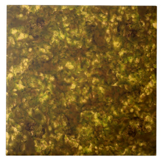 Gold-Metallischer Smokey-Marmor Fliese