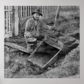 GOLD MINING mit einem ROCKER BOX c. 1866 Poster (Vorne)