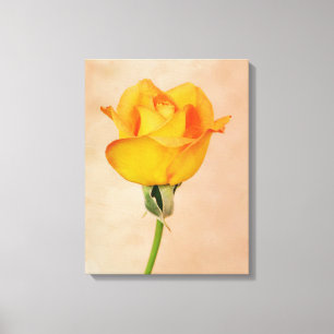 Gold Orange Single Rose Blume Leinwanddruck