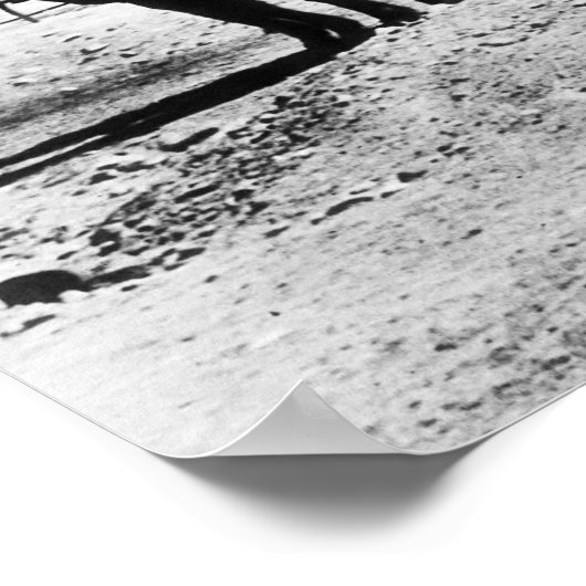 GOLD ORE WAGONS- 14 MULES - KALIFORNIEN c. 1905 Poster (Ecke)