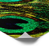 Gold Peacock Feather Pattern Poster (Ecke)