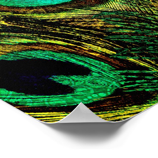 Gold Peacock Feather Pattern Poster (Ecke)