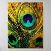 Gold Peacock Feather Pattern Poster (Vorne)