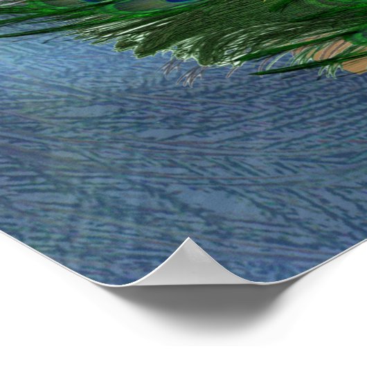 Gold, PfauenFedern auf Smaragdgrüner Seide Poster (Ecke)