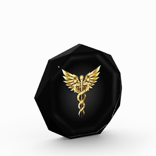 Gold Polygonal Symbol Caduceus Fotoblock (Links)