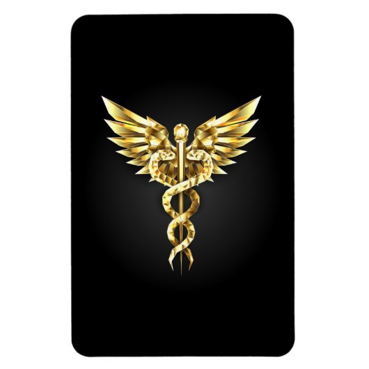 Gold Polygonal Symbol Caduceus Magnet (Vertikal)