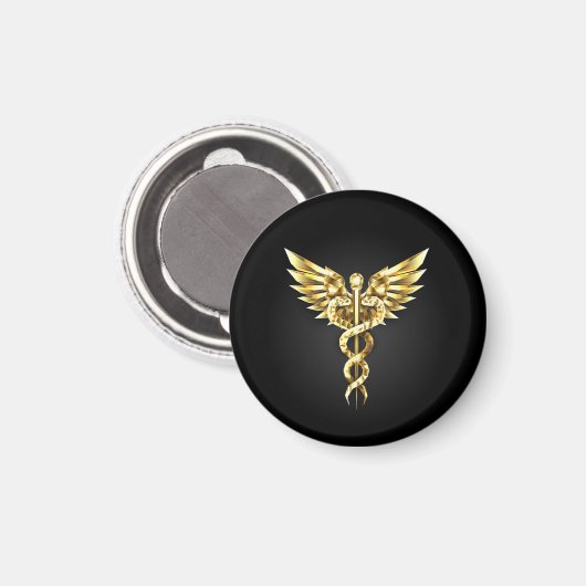 Gold Polygonal Symbol Caduceus Magnet (Vorderseite/Rückseite)