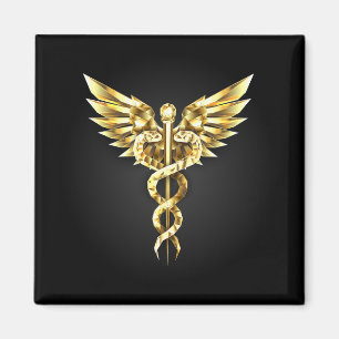Gold Polygonal Symbol Caduceus Magnet