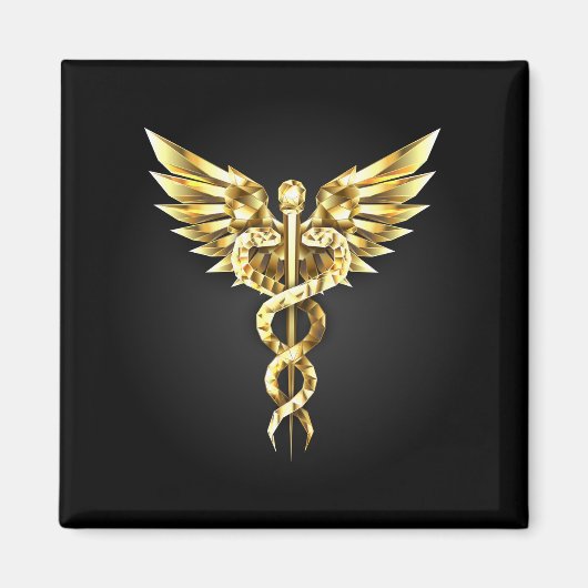 Gold Polygonal Symbol Caduceus Magnet (Vorne)