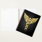 Gold Polygonal Symbol Caduceus Planer (Anzeige)