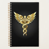 Gold Polygonal Symbol Caduceus Planer (Vorderseite)