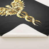 Gold Polygonal Symbol Caduceus Sherpadecke (3/4)