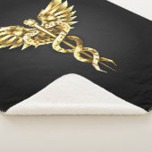 Gold Polygonal Symbol Caduceus Sherpadecke (3/4)