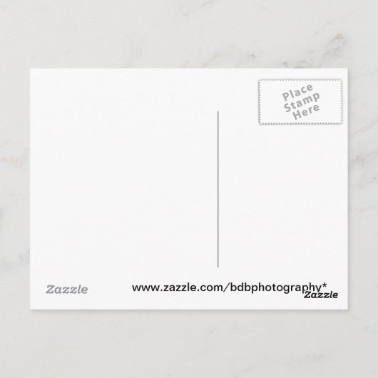 Gold-Pot Postkarte (Rückseite)