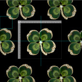 Gold Saint Patrick Kleeblatt Jewel mit Perlen Stoff (Kachel)