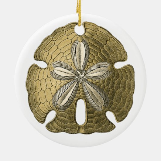 Gold Sand Dollar Ornament (Hinten)