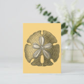 Gold Sand Dollar Postkarte (Stehend Vorderseite)